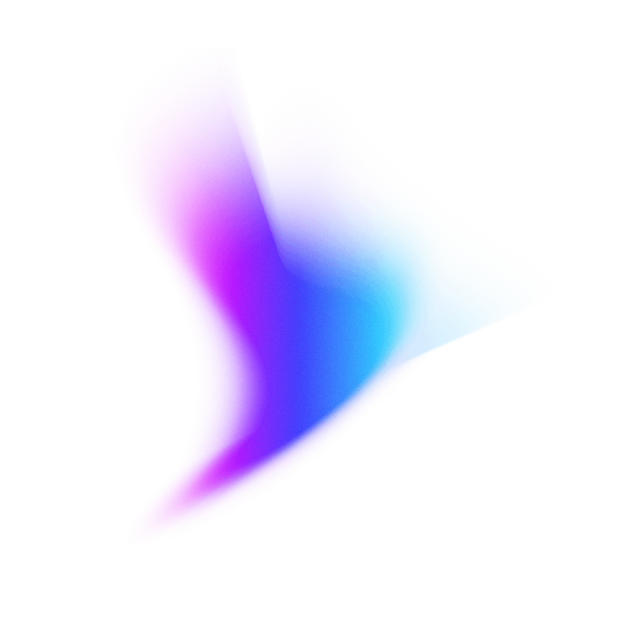 6 to 8 Months of Hands-On Training