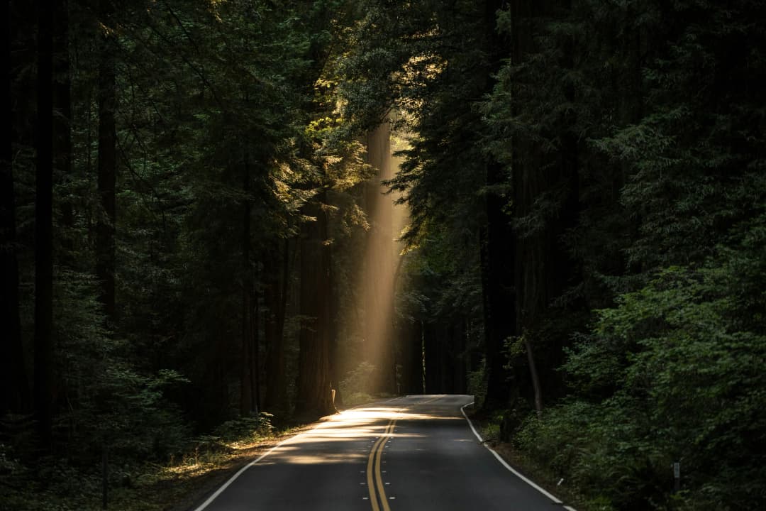 The AI Way or the Highway: Navigating AI Adoption in Software Engineering